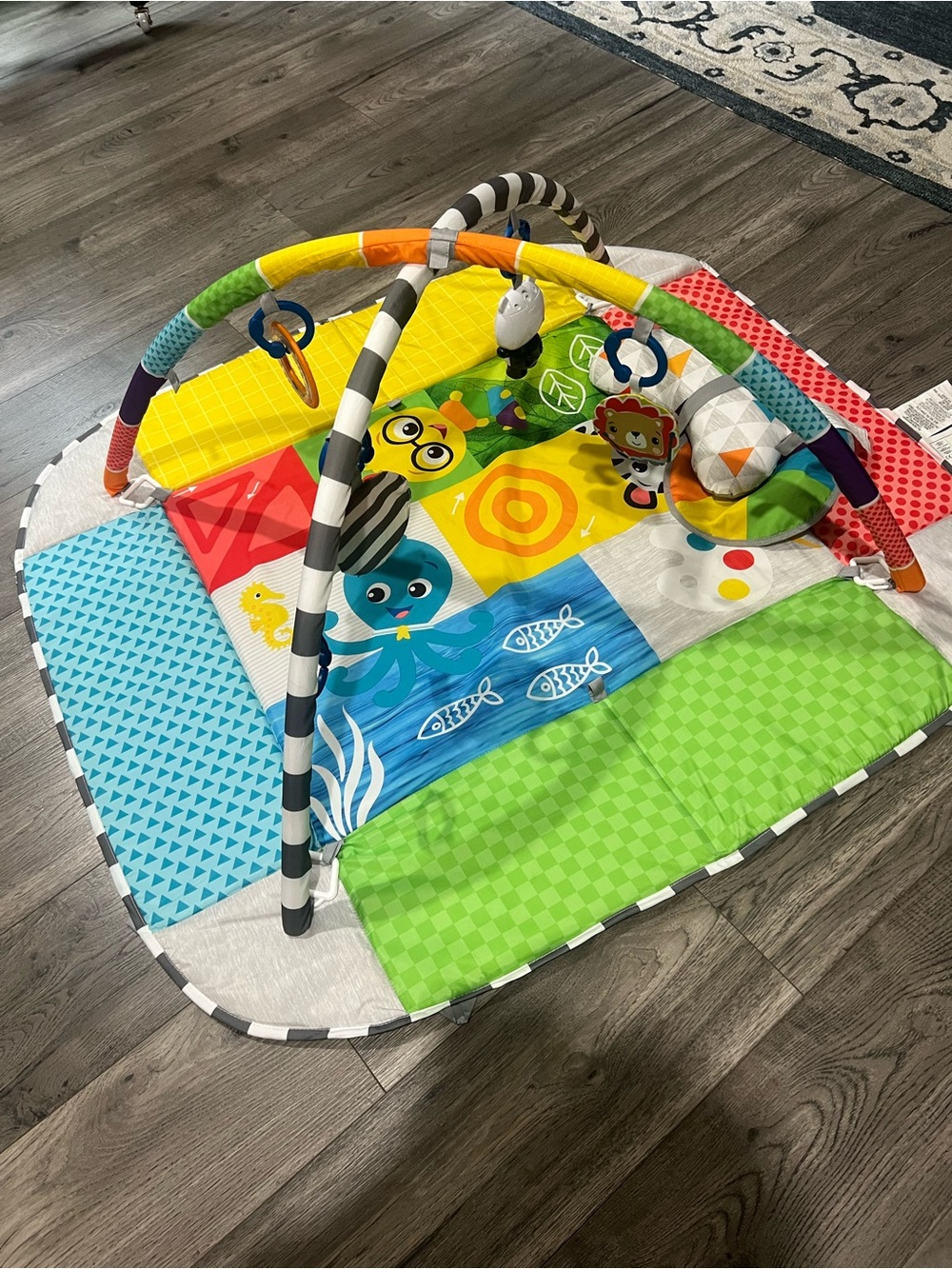 Baby Einstein Colorful Baby Activity Gym Play Mat - Multi-Color